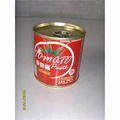 popular tin can tomato paste sauce