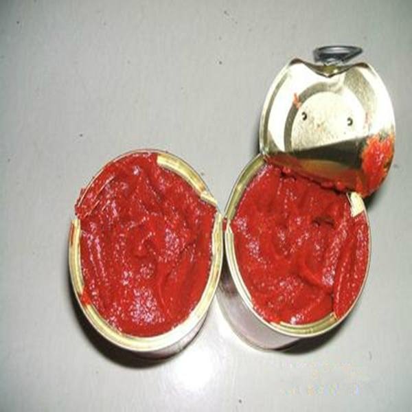 popular tin can tomato paste sauce buyers 2