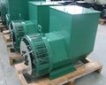 3(single) Phase China Made Alternator Generators 5