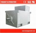 Wuxi FARADAY High Voltage Permanent Magnet Brushless Alternator 2
