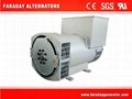 Faraday Factory Permanent Magnet Synchronous Alternator Supplier 2