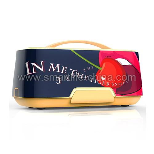 Handbag Shaped Plastic Thermal Lunch Box 4