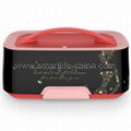 Handbag Shaped Plastic Thermal Lunch Box