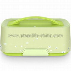 Handbag Shaped Plastic Thermal Lunch Box