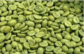 绿咖啡豆提取物（绿原酸） 2