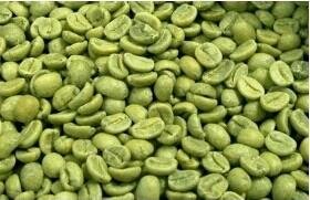 green coffee bean extract (chlorogenic acid)  2