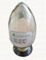 rosmarinic acid 1