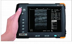 Veterinary ultrasound scanner 