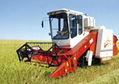 Foton Lovol Combine Harvester DC200 1