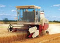 Qingdao Foton Lovol Combine Harvester GE20D 1