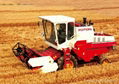 Foton Lovol Combine Harvester GF38