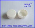 polypropylene cap 2