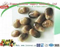 canned straw mushroom whole 1