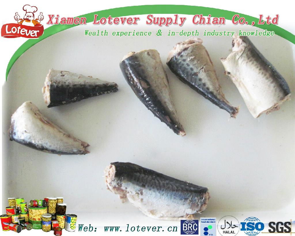 canned mackerel in brine