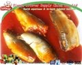 canned sardine in tomato sauce 1