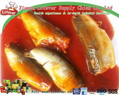 canned sardine in tomato sauce