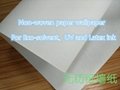 Non-woven paper wallpaper 2