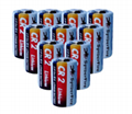 CR2 鋰錳柱式電池  3V 1000mAh 帶PTC 防爆閥電池 3