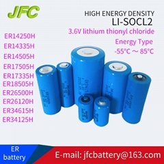 ER34615  Li -SOCl2  3.6V 1900mAh D型 瓦斯流量計電池