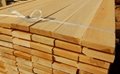 European birch lumber for sell