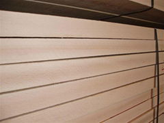 smooth edge beech for sell