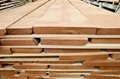 A/B beech board lumber for sell