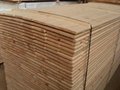 spruce plywood and high quality european