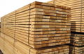 spruce plywood and high quality european spruce for sell 3
