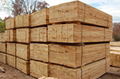 pallet oak  timber for sale 1