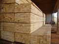 yellow sell pine lumber for