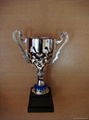 Trophy cup  5