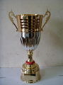 Trophy cups  1