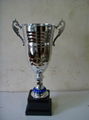 Trophy cups  2