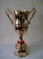 Trophy cups  3