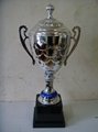 Good quality trophy cup  1