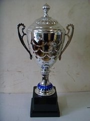 Good quality trophy cup 
