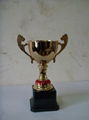 Good quality trophy cup  3