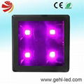 hydroponic greenhouse new led grow light