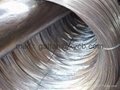 Supply  Galvanized steel wire 3