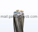 Supply Galvanized steel wire strand