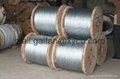 Supply Galvanized steel wire strand 4