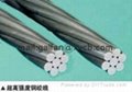 Supply Zn-5%Al-mischmetal alloy-coated steel wire strand (galfan wire strand) 2