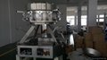 10 multihead weigher machine Match with Rotary Filling Corn Chips Packing Machin 3