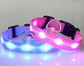 LIGHT UP LED DOG COLLARS 4