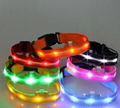 LIGHT UP LED DOG COLLARS 5