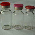 10ml Pharmaceutical Glass Vials 1