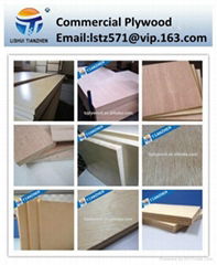 Commercial Plywood 