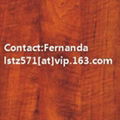 Polyester Plywood 4