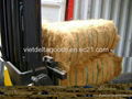 Coconut Fiber 2