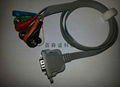 DMS HDMI One-piece 10ld ecg cable 2